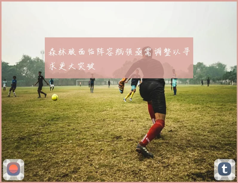 森林狼面临阵容瓶颈亟需调整以寻求更大突破