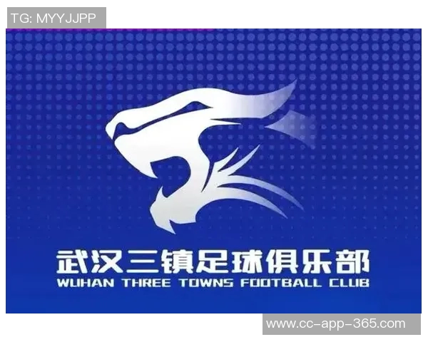 携手共进迎新篇章祝武汉三镇足球俱乐部12岁生日快乐
